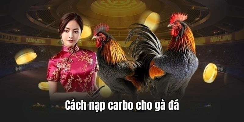 Cách nạp carbo cho gà đá